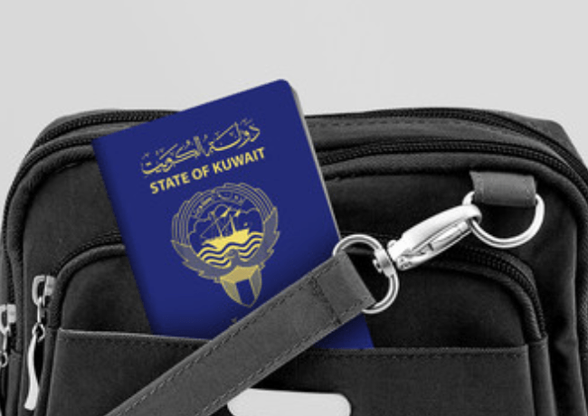 Wie Sie wissen, ob der Reisepass registriert ist